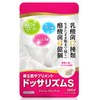 ドッサリズムS 酪酸菌 6億個 乳酸菌 17種類 善玉菌 サプリメント ラクトフェリン ビフィズス菌 フラクトオリゴ糖
