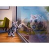 Diamond Painting Set, Picture with Kitten Motif and Accessories, Size