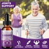 Healtionist 1 Pack Glucosamine Chondroitin MSM Liquid Drops, Extra Strength