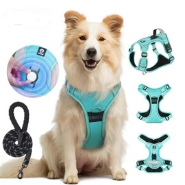 Waterproof and Breathable Dog Harness Sized, No Pull Pet Harness, Adjustable Soft Padded Pooch Vest with Instant Control Handle, Easy Walking Reflective Pet Vest for Dogs (Blue, Large)