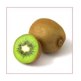 Kiwi Fruit Vine Great Heirloom Seeds by Seed Kingdom Seeds (100 Seeds)
