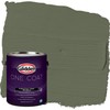 Glidden Total Exterior Paint & Primer All-in-One, Light Sage/Green, Satin,