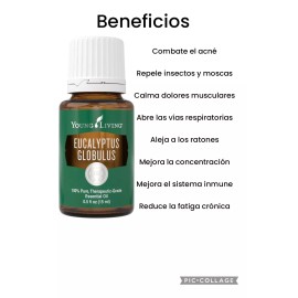 Young Living Aceite Esencial De Eucalipto+ Mezcla R.c Young Living
