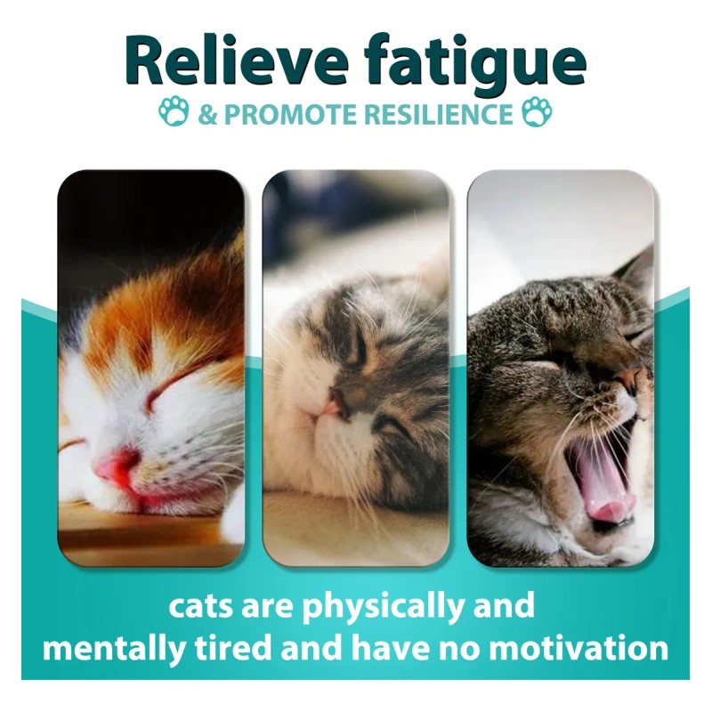 Premios Calmantes Para Gato Sabor Pollo (200 Pzs) Oimmal