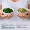 Chlorella Orgánica En Polvo 1 Kg Vizana Nutrition