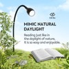 acegoo Wall Mounted Minimalist Bedside Reading Light, Wooden Headboard Mount