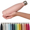 Blumtal Charles Thermos Flask, Leak-proof Stainless Steel, BPA-Free, Hours of