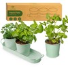 Herb Planter Indoor | Grow Fresh Herbs At Home |