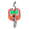 Hanging Scale LCD Digital Display 150KG Range Weighing Tool for