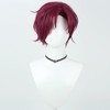 LAOBAO Cosplay Wig, Tendo Tenhiko, Burgundy Wig, Heat Resistant, For