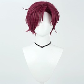 LAOBAO Cosplay Wig, Tendo Tenhiko, Burgundy Wig, Heat Resistant, For Disguise Wig, Costume Accessories, Parties, Costumes, Festivals, Events, Cosplay Wig