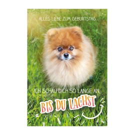 KE Funny Birthday Card with 3D Effect - Folding Card with 3D Surface, including Envelope - Greeting Card in DIN B6 Format - Design: Until You Laugh