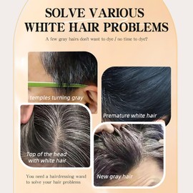 3 Pack Safe and Convenient Comb Hair Dye，Hair Color Stick for Gray Hair Coverage，3 Colors Waterproof and Sweatproof Hairdressing Wand，2 in 1 Instant Dye for Women & Men，0.71 Fl Oz Each