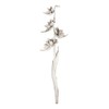 Vickerman 5-6' White Wash Star Pod Stalk, 1 Stalk, Dried