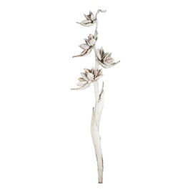 Vickerman 5-6' White Wash Star Pod Stalk, 1 Stalk, Dried
