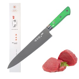 Sumteene Japanese Chef Knife 9.5 inches, Professional Sushi Knife with Green Ergonomic Handle for Household or Work