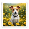 Jack Russell Dog Coaster Set. 4 different Jack Russell Terrier