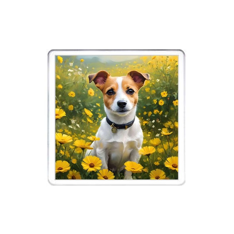 Jack Russell Dog Coaster Set. 4 different Jack Russell Terrier