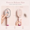 2026 New Electric Spray Air Cushion Massage Comb (Pink)