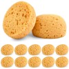 Aemygo 12 Pcs Knockdown Texture Sponge Bulk, Wall Texture Sponges