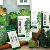 Delvemi Daily Organic Freeze-Dried Curly Kale Stick 2g 14 Sachets