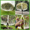 10' x 12' Large Fruit Tree Netting for Squirrels and