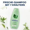 SCHAUMA Shampoo 2 x 400 ml 7 Herbs
