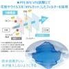 Masks, Individually Packaged, JIS Standard Compliant, 100 Pieces, Non-Woven Fabric,