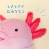 Shinada Global Mochi Series MOUP-0088P Mochi Axolotl Plushie, Stuffed Animal,