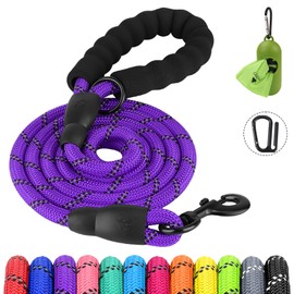Joytale Reflective Dog Leash, Heavy Duty Nylon Rope with Poop Bag Holder, Highly Reflective Threads Leashes for Small Dogs, Puple, 6'×3/8''