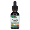 Nature s Answer Propolis 1,000 mg 1 fl oz 30