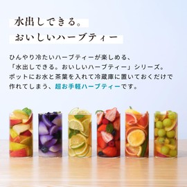 Tree of Life Cold Brew Delicious Herbal Tea Strawberry and Hibiscus 100 Count