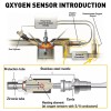 LIANGREN Set of 4 Motorcraft Oxygen O2 Sensor for 97-08