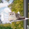 Foldable Cat Window Perch – Space-Saving No-Rope Hammock with Strong