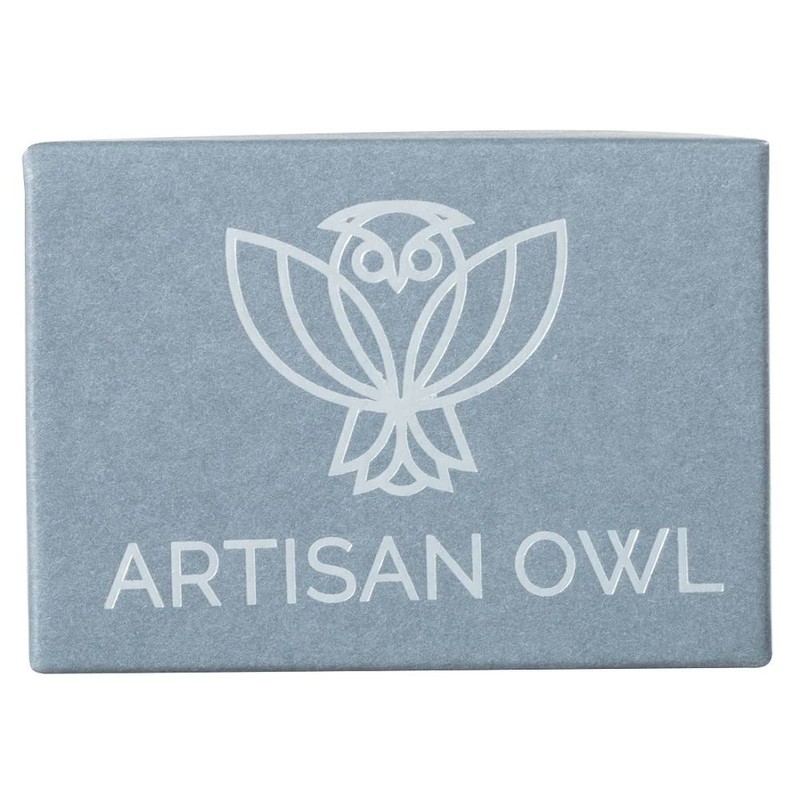 Patriotic American Flag Dangling Fish Hook Earrings