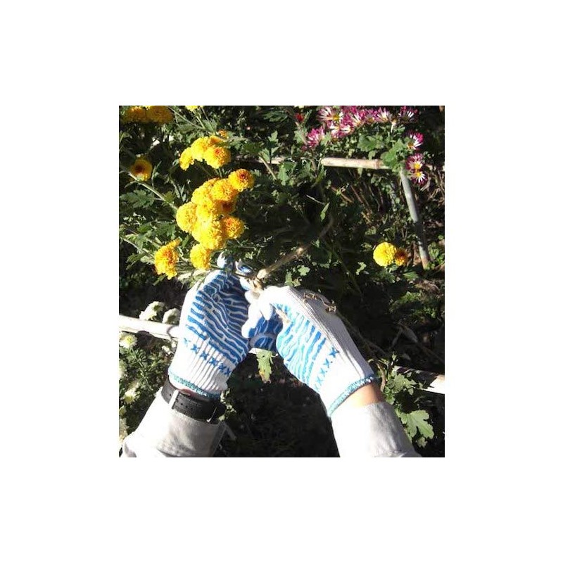 Anti-slip Gloves, Rubber Type, Free
