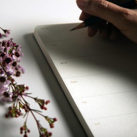 Pinesman - Elegant Weekly Planner Notepad, Undated, 11.22" x 7.87", 52 Sheets (Whole Year), Gold Foil, Tear Off Sheets, Minimalist Work Planner Pad, Weekly To Do List Notepad, Eco-friendly, FSC™ Certified Weekly Desk Planner