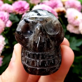 Sublime Gifts Smokey Quartz - Hand Carved Skull - Polished Natural Healing Metaphysical Crystal Gemstone Skull