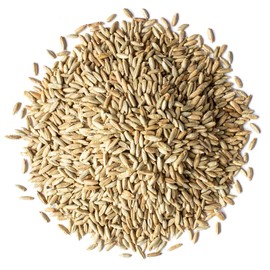Food to Live Organic Rye Berries, 20 Pounds – Non-GMO, Kosher, Raw, Bulk Seeds, Product of the USA