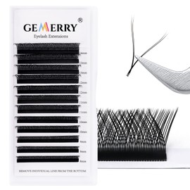 GEMERRY YY-Shaped Volume Eyelashes, Pre-Fanned 2D, 4D Eyelashes, Y Lashes, 0.07 mm, D Curl, Single Size, 14 mm Russian Eyelash Fans for Eyelash Extension, Lash Extensions by GEMERRY (YY lash-0.07D-14
