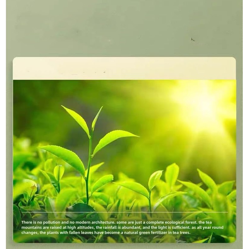 Chinese Black Tea 20 bags (Pack of 1) 100g Wuyi