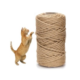 Weenwill Cat Scratch Rope,50 m x 6 mm Natural Jute Rope,Jute Ropes for Cat Scratcher,Ropes for Cats Scratching Post for Cats Scratcher Garden Bundling,Craft Decoration (Brown)