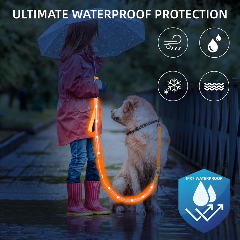 PetIsay Light up Dog Leash for Night Walking - USB