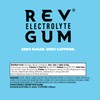 Rev Electrolyte Gum, Frost Berry, Sugar-Free with Essential Electrolytes, 12