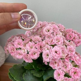 Nail art supplies, sequins, nail glitter, pink eye nail art, nail art supplies / 네일아트재료 스팽글 네일글리터 핑크아이 네일아트 네일아트재료