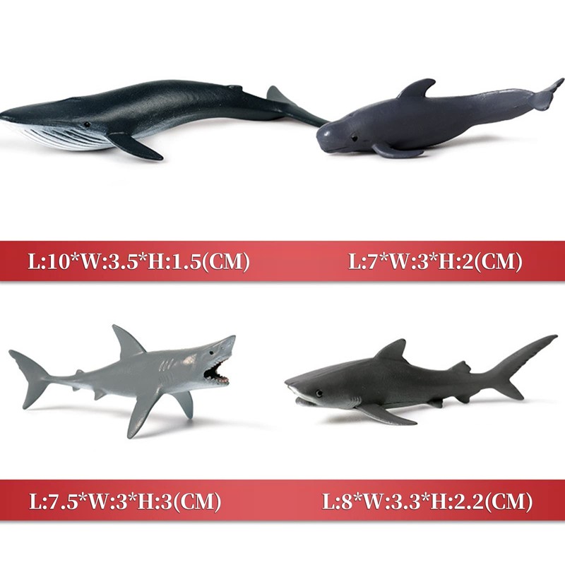 Megalodon Great White Shark, Sea Animals, Fish, Animal Set, 11
