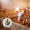 Lucky Pig with Clover Leaf Magnet with Bottle Opener Round
