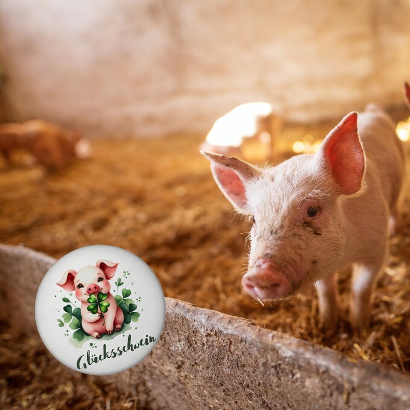 Lucky Pig with Clover Leaf Magnet with Bottle Opener Round