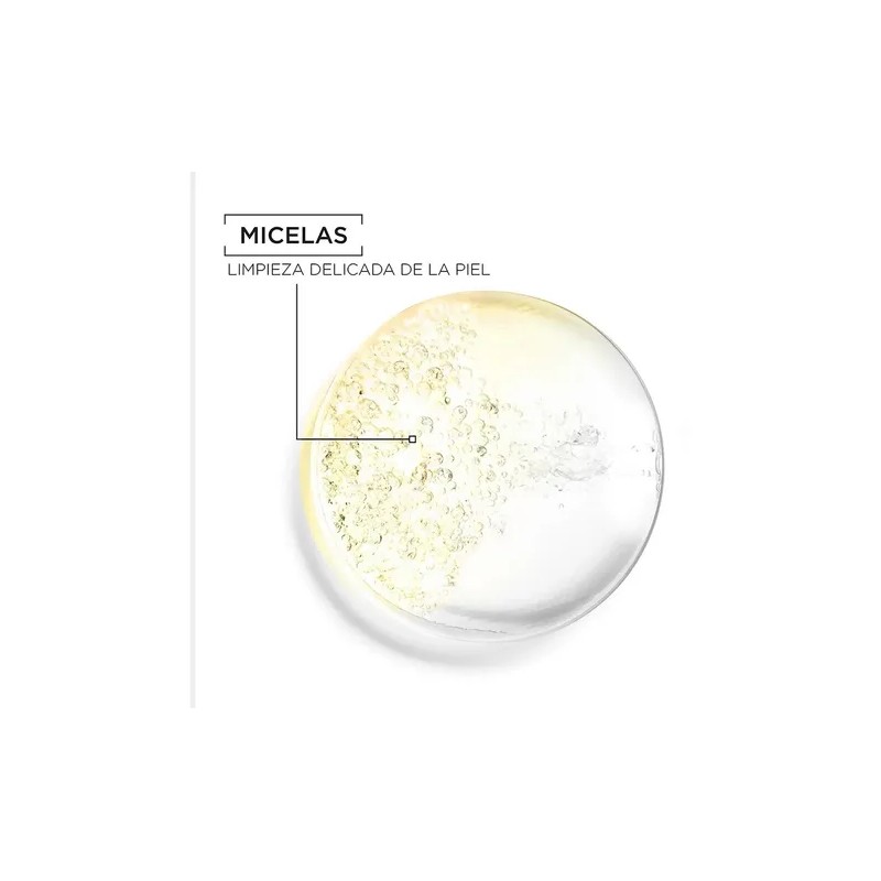 Agua Micelar Garnier Desmaquillante 100ml