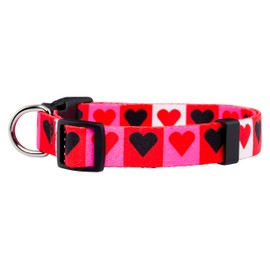 Native Pup Valentine's Day Heart Dog Collar